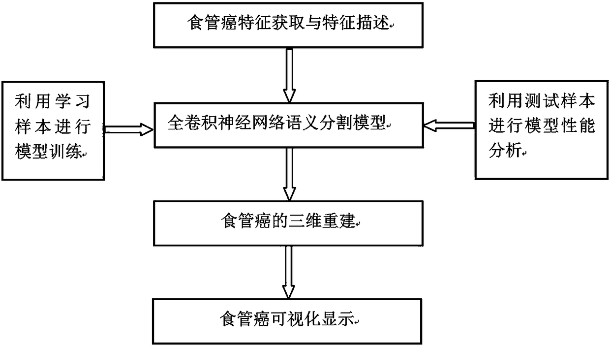 Segmentation method for esophagus cancer in chest CT images