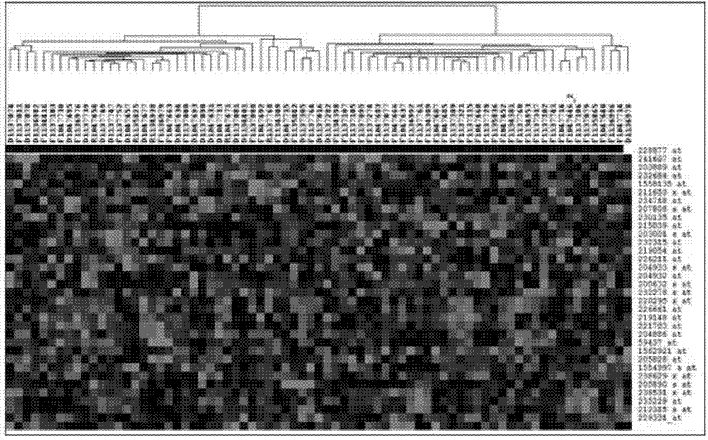 Gene for colorectal cancer prognosis and application thereof