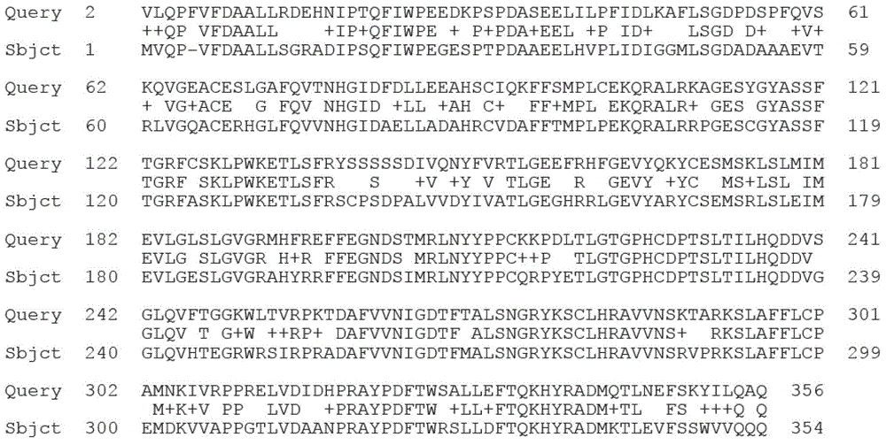 Agapanthus praecox gibberellin synthesis dioxygenase APGA20ox protein and coding gene and probe thereof