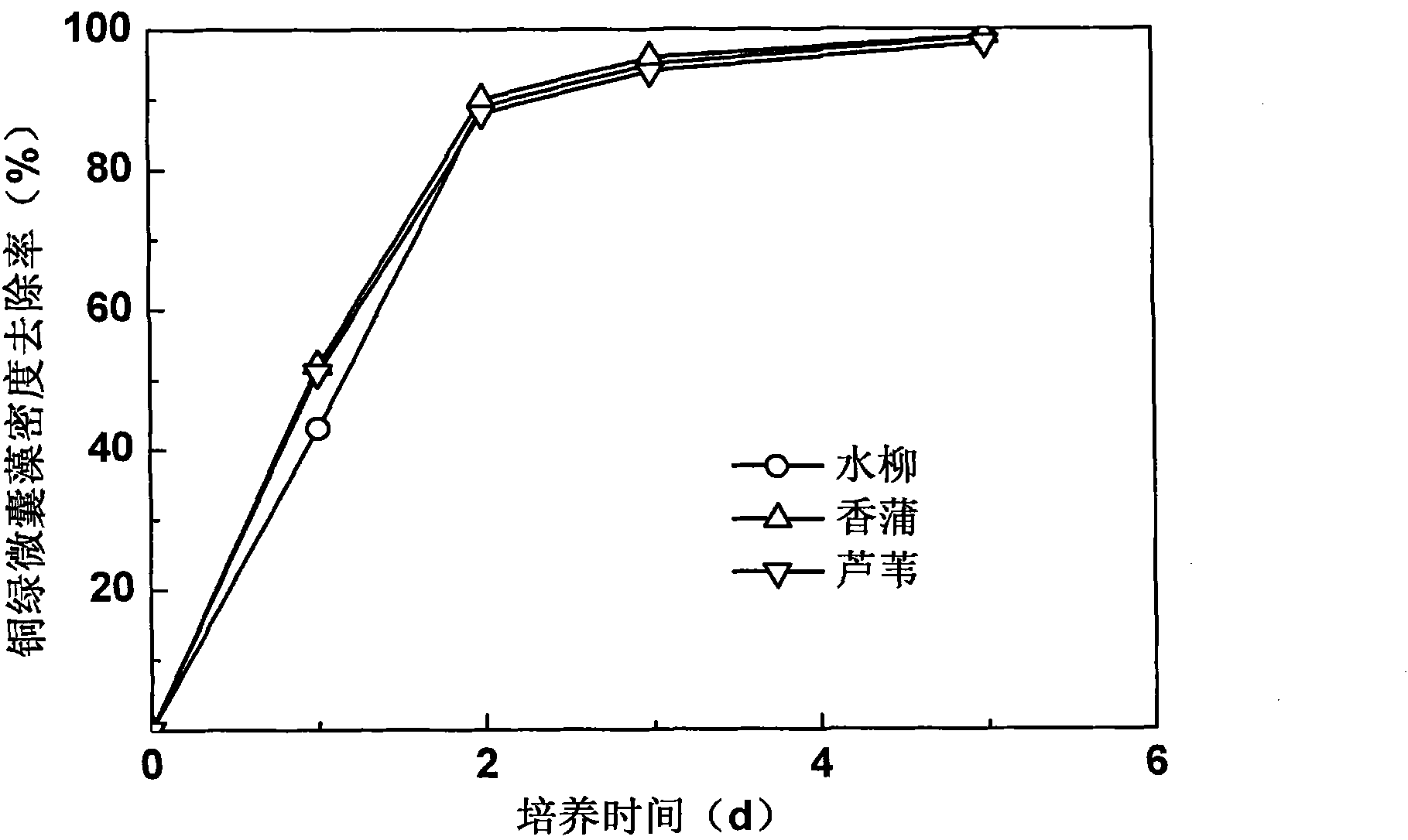 Cultivation method of golden algae