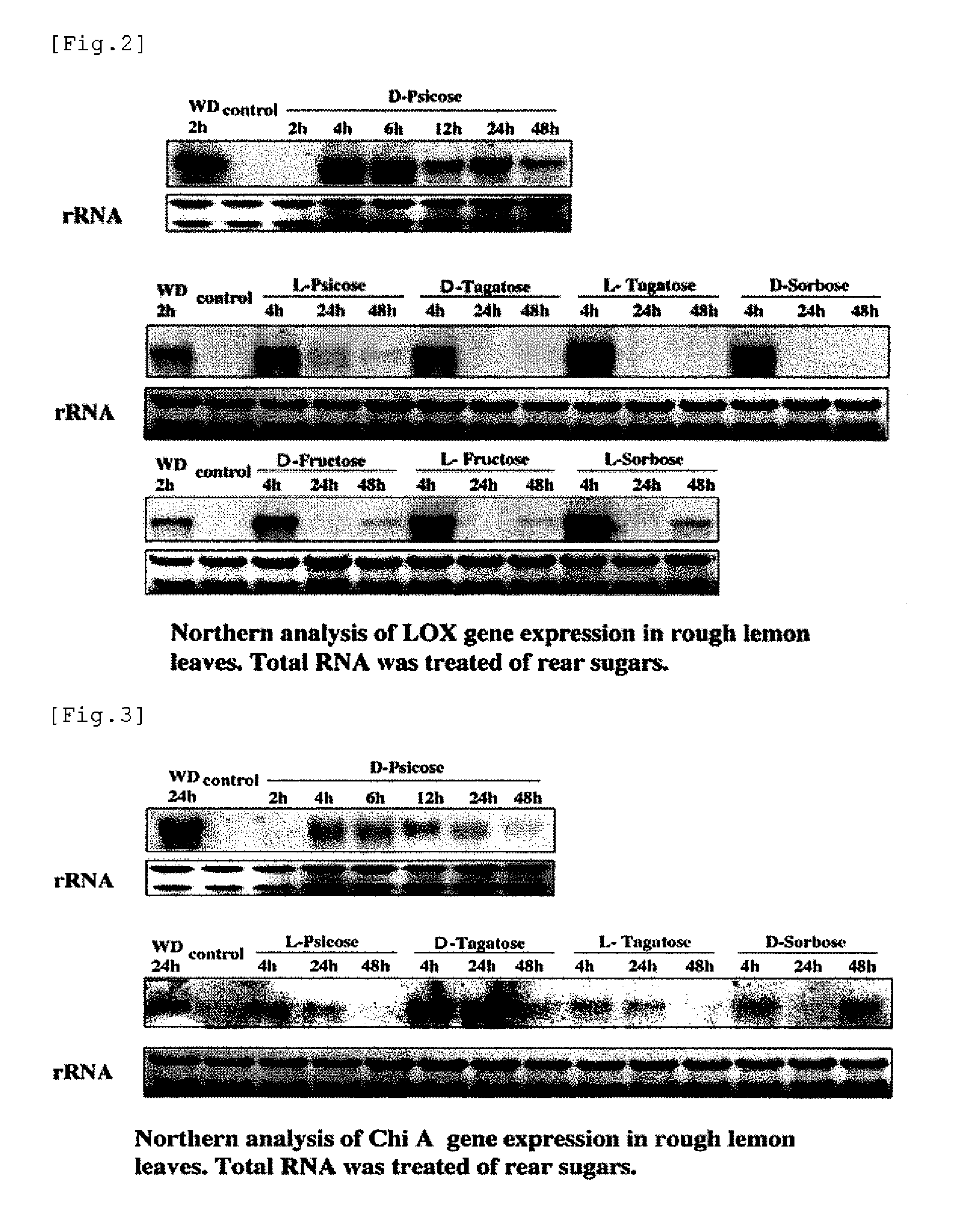 Utilization of rare sugars in plant or microorganism