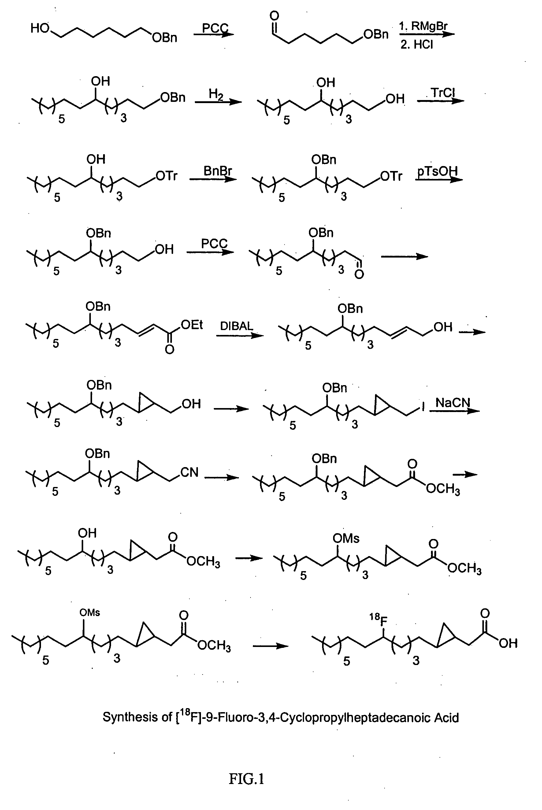 Method for monitoring blood flow and metabolic uptake in tissue with radiolabeled alkanoic acid