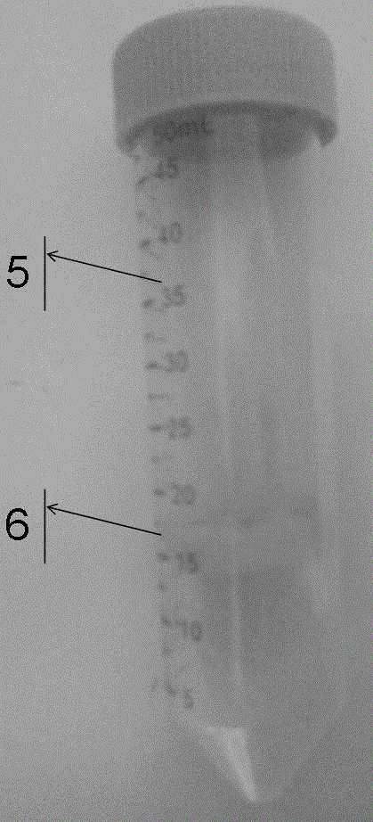 separation tube