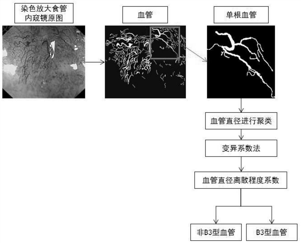 Esophageal cancer B3 type blood vessel recognition method based on variable coefficient method