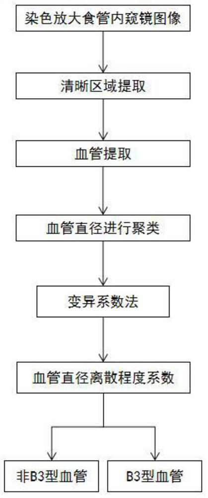 Esophageal cancer B3 type blood vessel recognition method based on variable coefficient method