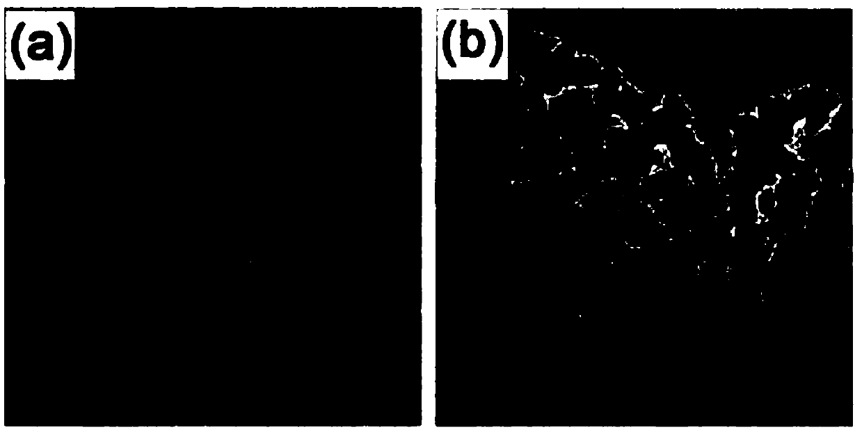 Dual-mode imaging photothermoluminescence probe and preparation method thereof and application thereof