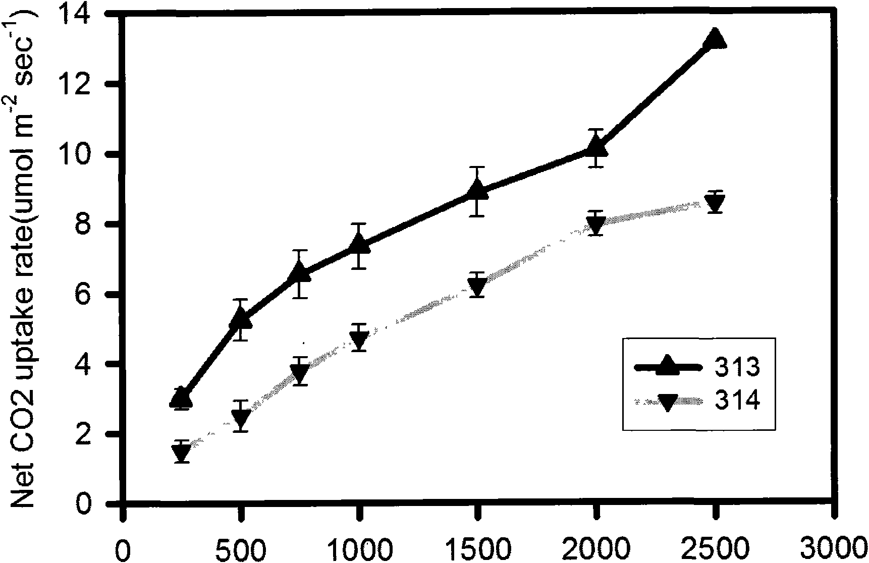 Vertical compact panicle gene and application thereof