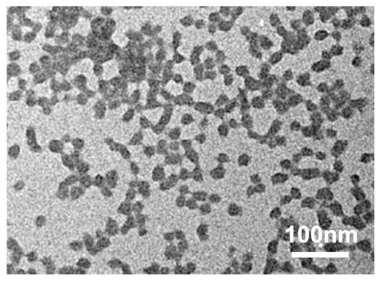 Application of chitosan nanogel loaded with oxytocin in preparation of medicine for early intervention of Alzheimer's disease