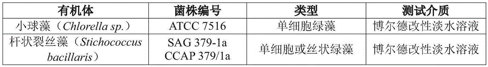 Synergistic combination of zoxamide and one of dcoit or oit for dry film protection