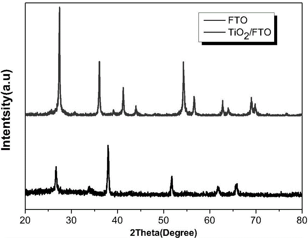 Titanium dioxide nanowire array film, and preparation and application thereof