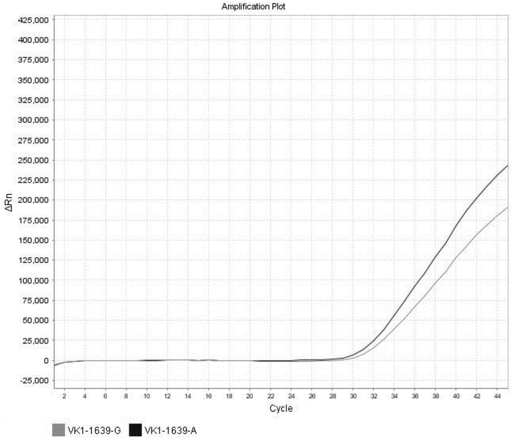 Method for detecting VKORC1 gene polymorphism and nucleic acid probe and kit used in method