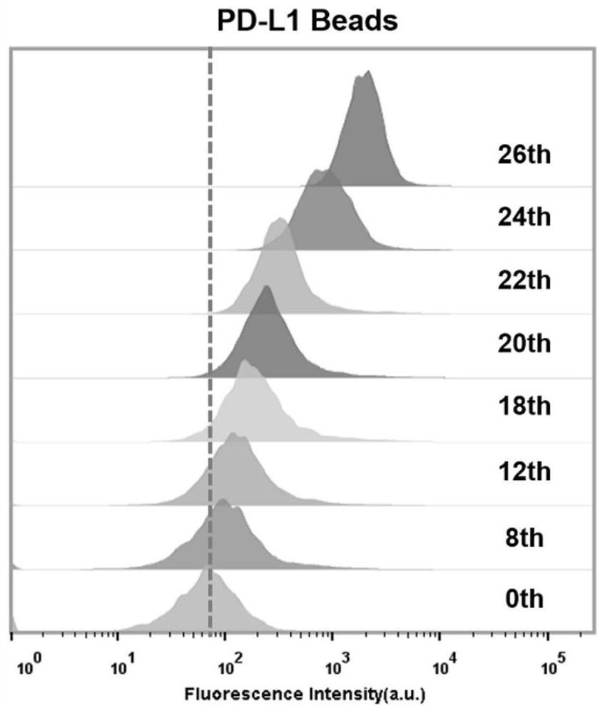 A kind of nucleic acid aptamer of programmed death receptor-ligand 1 and its application