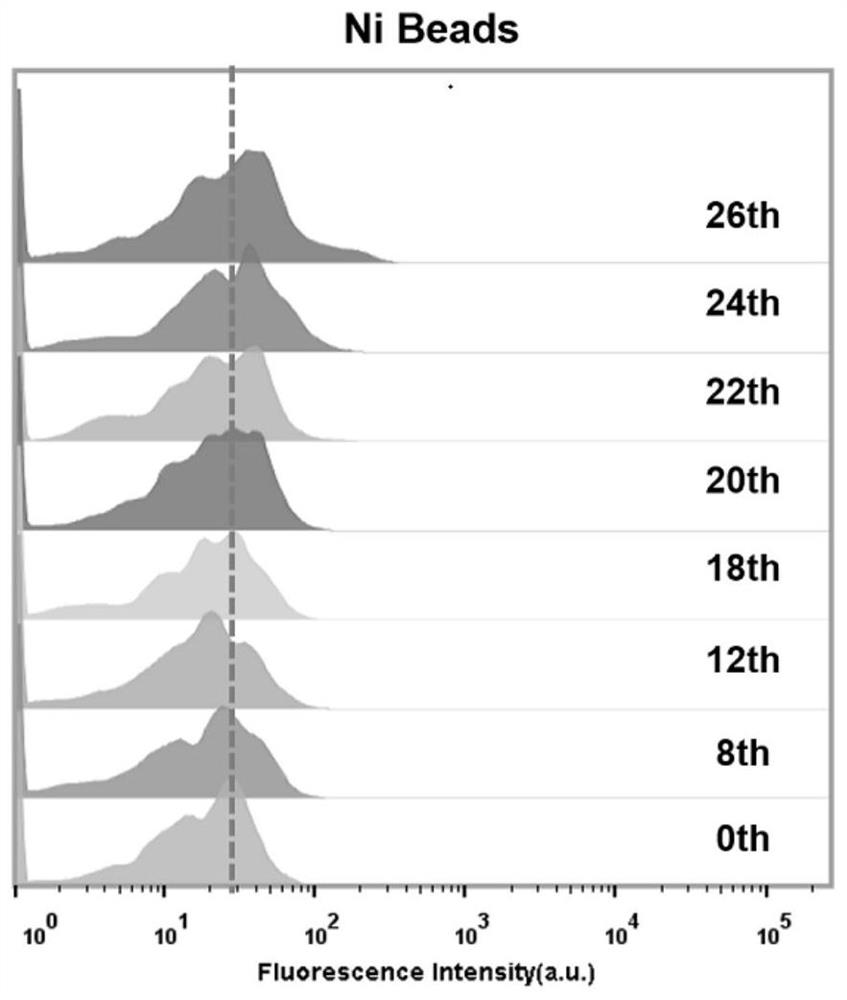 A kind of nucleic acid aptamer of programmed death receptor-ligand 1 and its application