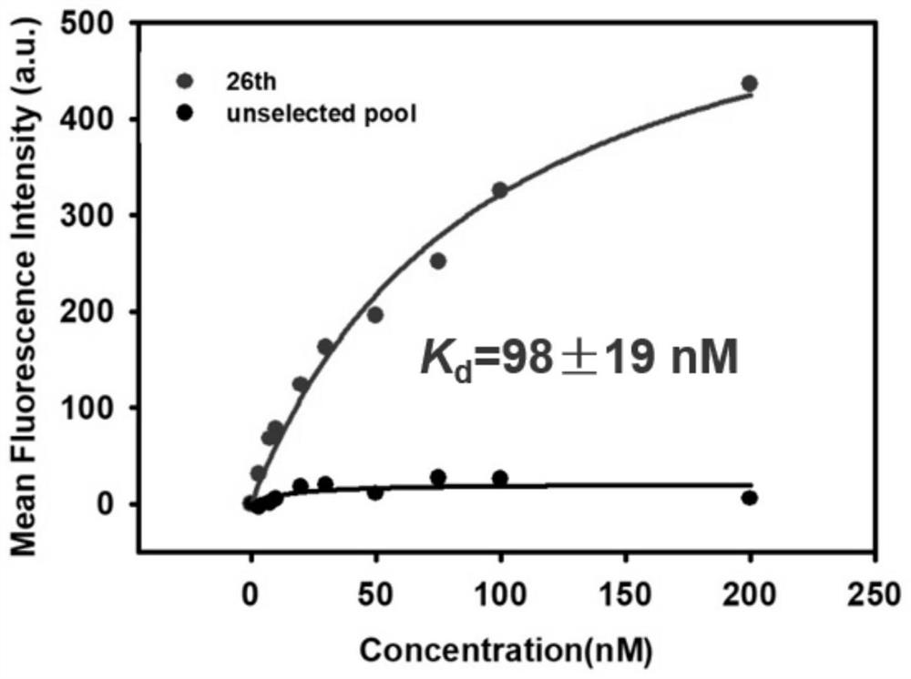 A kind of nucleic acid aptamer of programmed death receptor-ligand 1 and its application