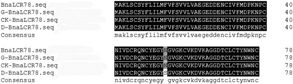 Method for determining high oleic acid in brassica napus on basis of BnaLCR78 gene