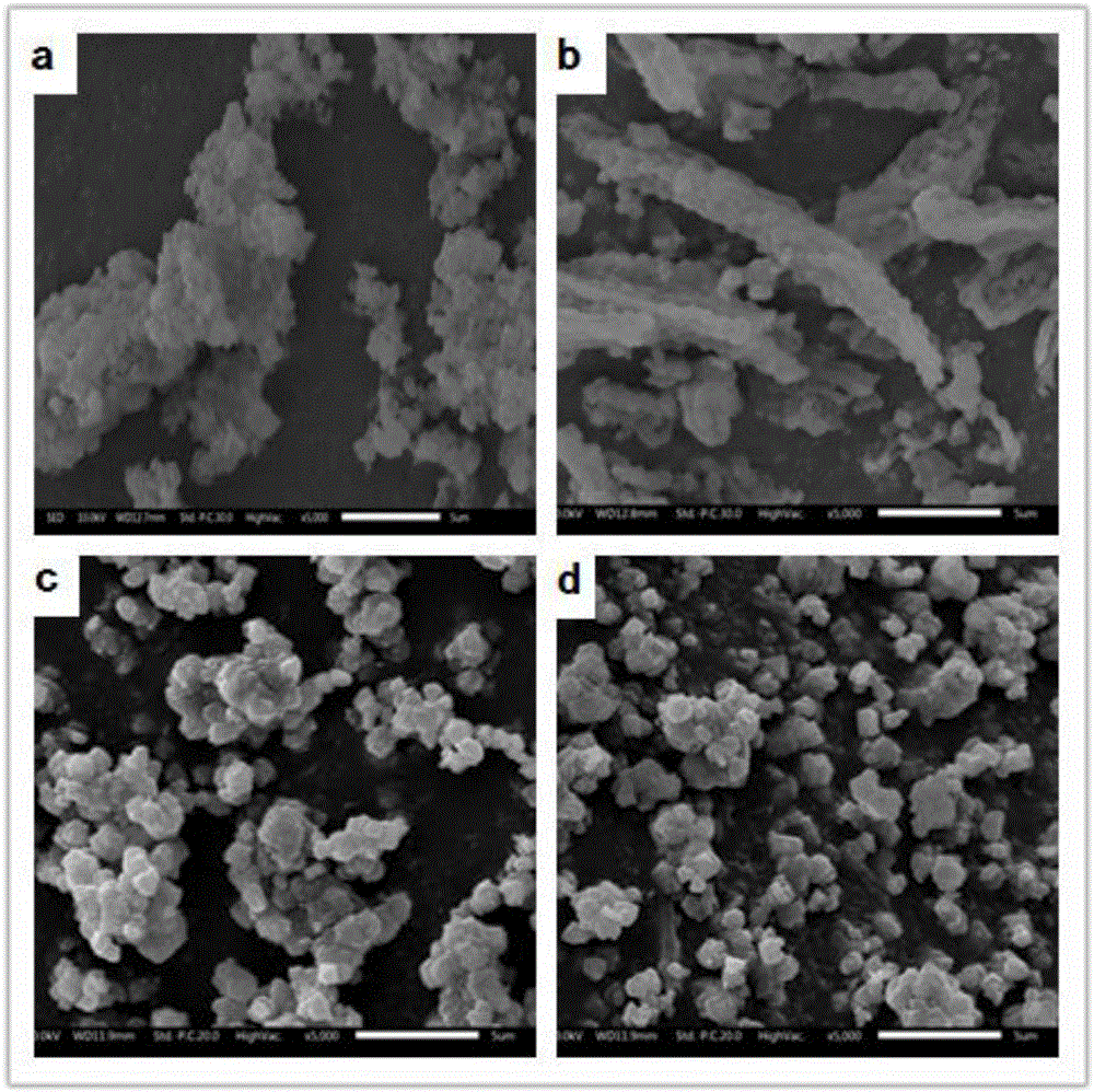 Catalyst for ethylene oligomerization and preparation method thereof