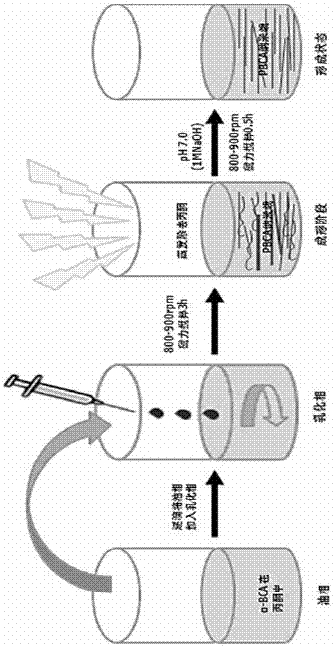 A kind of preparation method of n-butyl cyanoacrylate nanowire