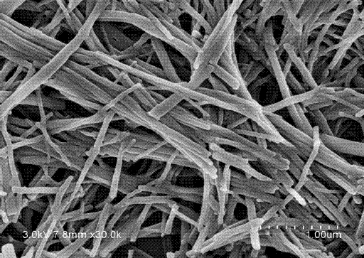 A kind of preparation method of n-butyl cyanoacrylate nanowire