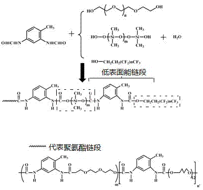 Super-hydrophobic/super-oleophylic polyurethane oil-absorption sponge and preparation method thereof