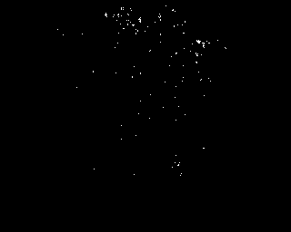 Aspergillus oryzae PRB-1 strain