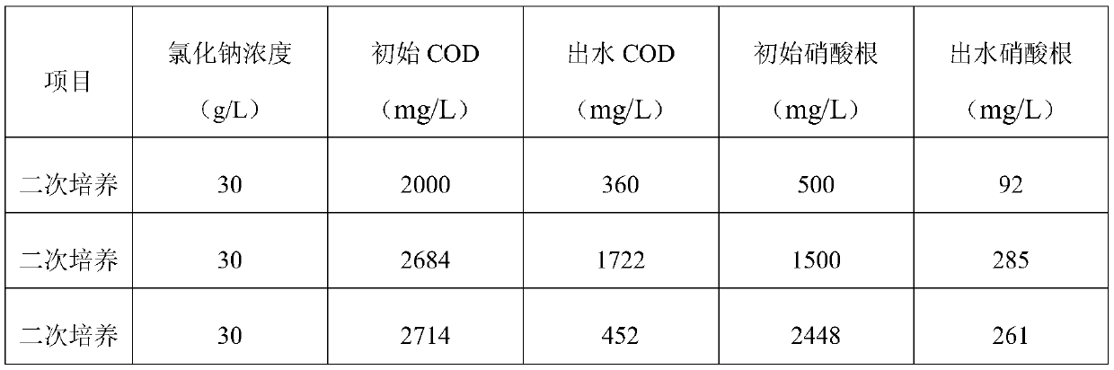 Culture method of halotolerant bacteria capable of removing nitrate in high-salinity solution and application thereof