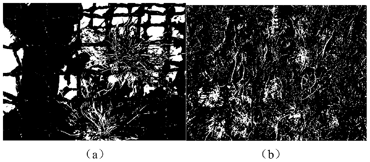 Antifouling coating for marine net wire and preparation method of antifouling coating