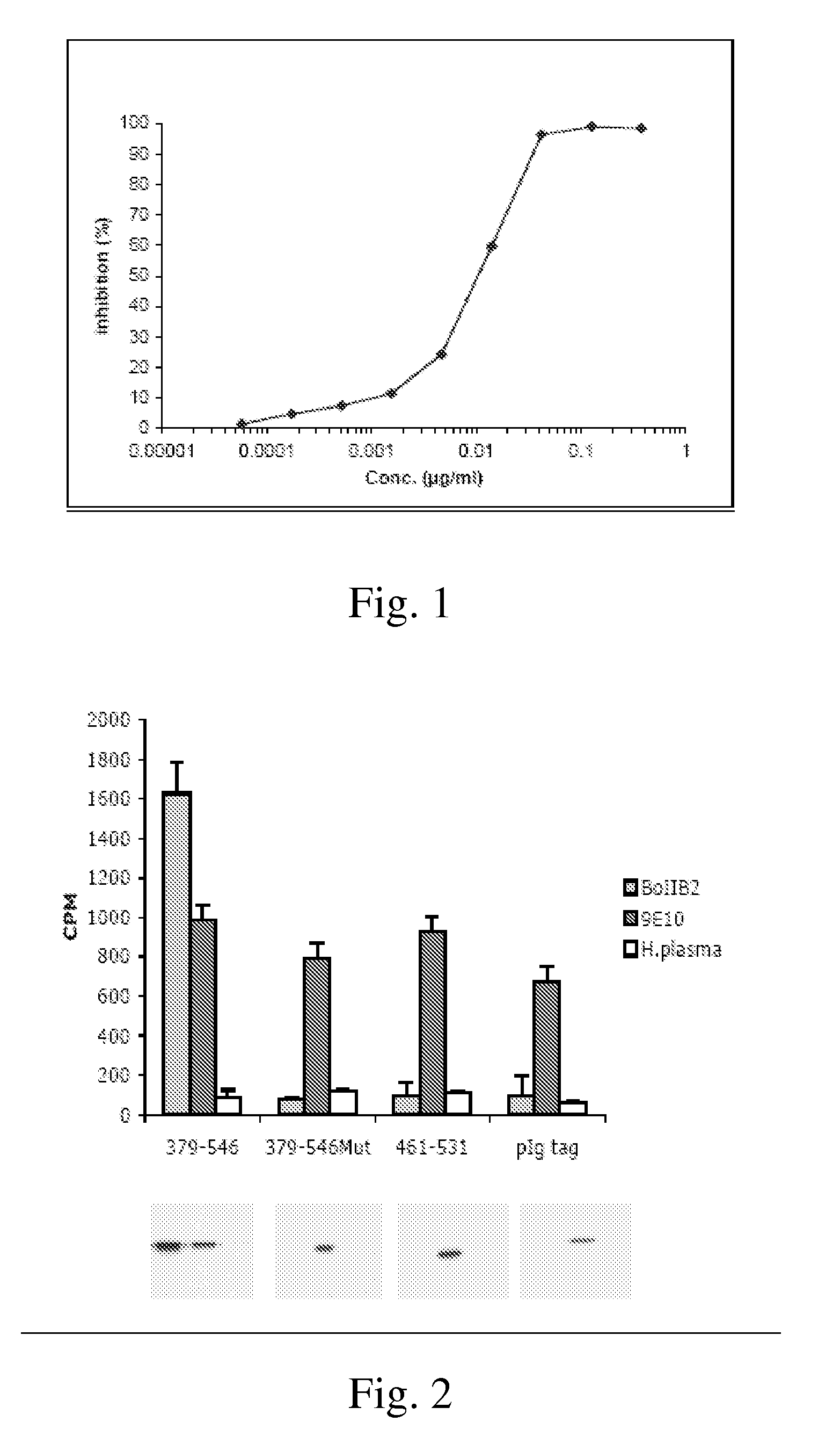 Anti-idiotypic antibody neutralizing the inhibitor activity of a factor viii inhibitor antibody