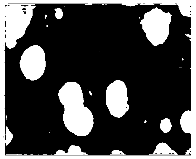 Chinese herbal compound particle for treating radiation-induced lung injury and preparation method thereof