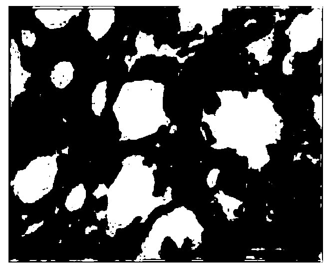 Chinese herbal compound particle for treating radiation-induced lung injury and preparation method thereof