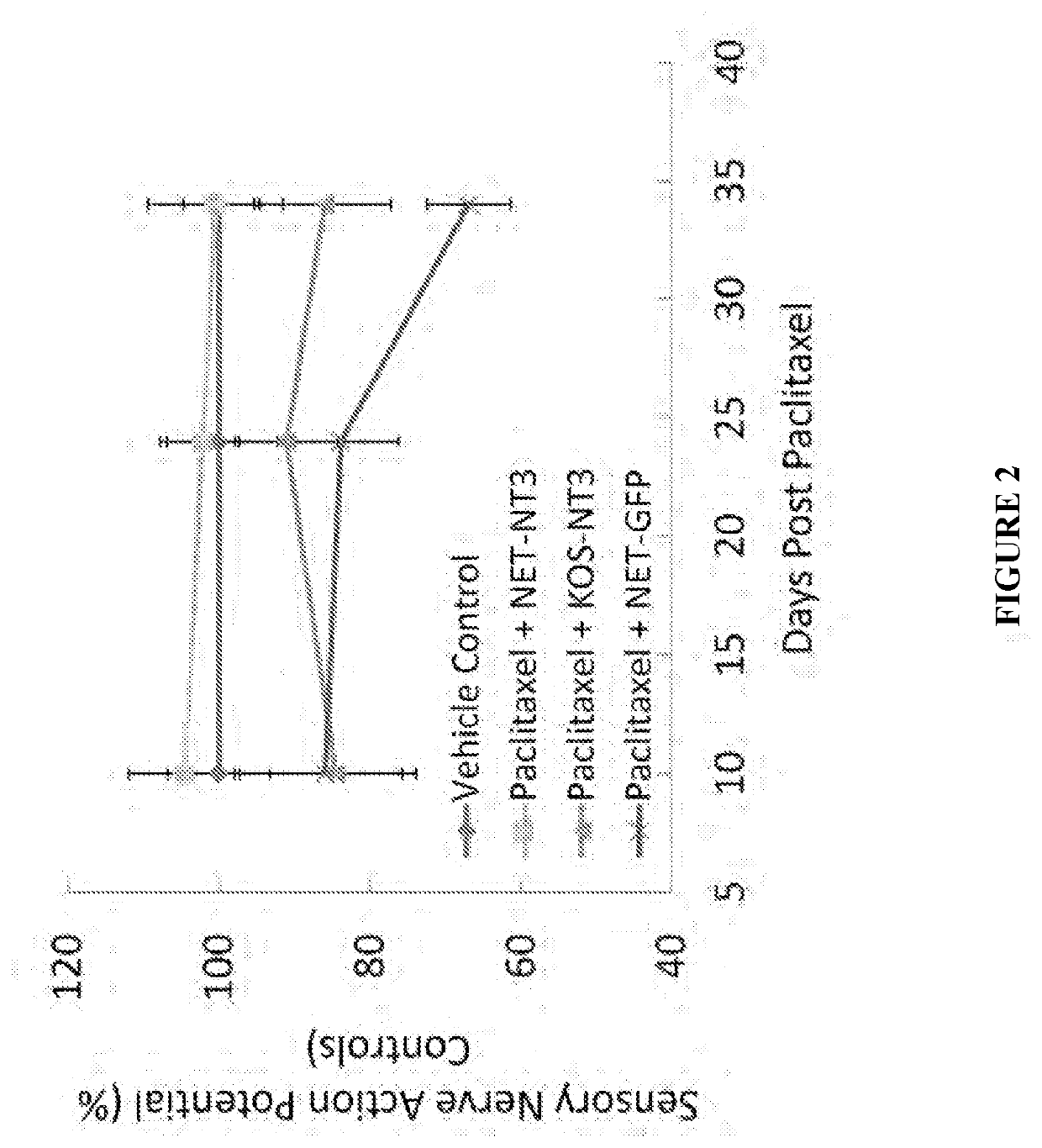 Hsv vectors for delivery of nt3 and treatment of cipn