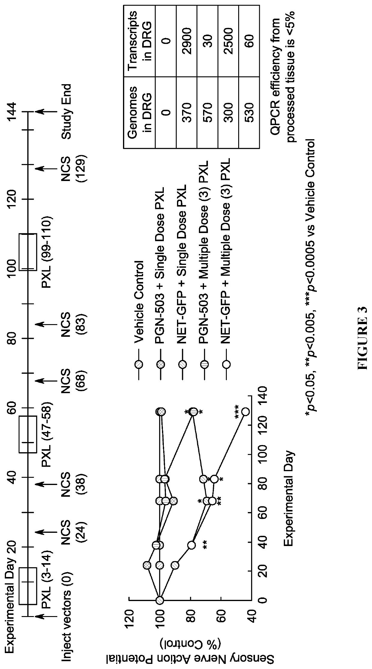 Hsv vectors for delivery of nt3 and treatment of cipn