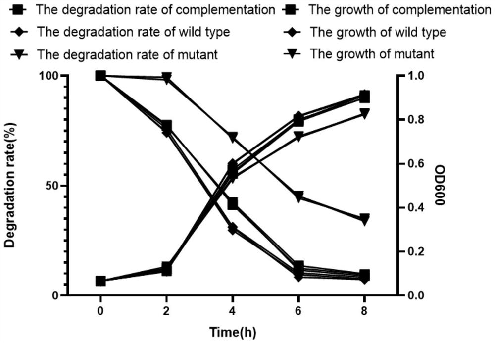 Chlorsulfuron-methyl-degrading enzyme kj-gst, its coding gene kj-gst and application