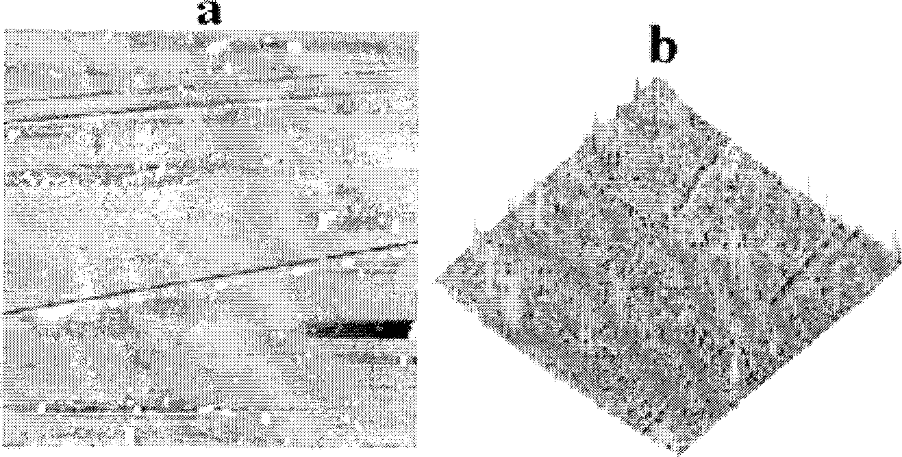 Method for preparing load type titanium dioxide photocatalytic film