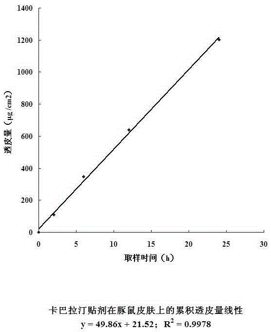 Rivastigmine containing external patch and preparation process thereof