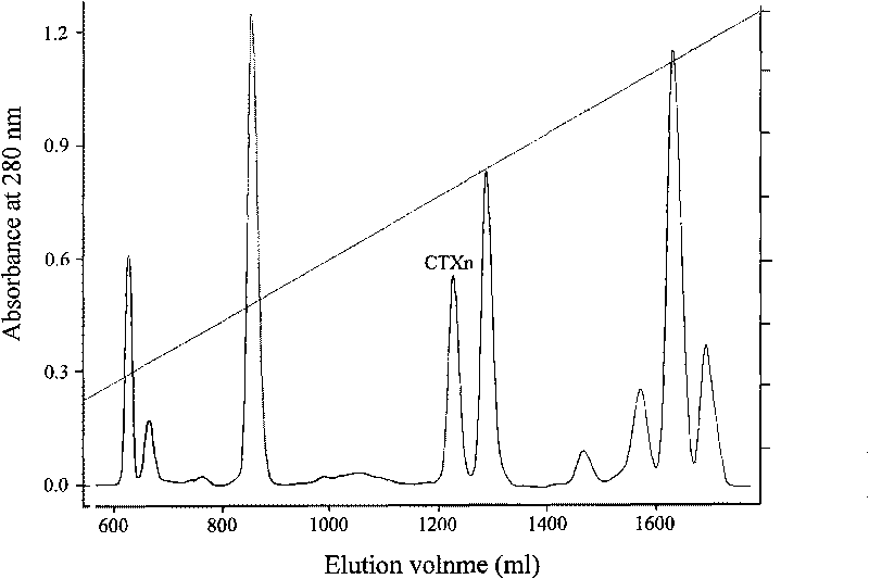 Venin-sourced demulcent CTXn, and purification method and applications thereof