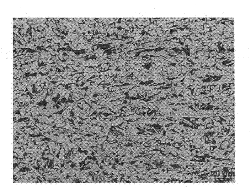 Alloy reduced ship plate steel with yield strength of 355MPa and preparation process thereof