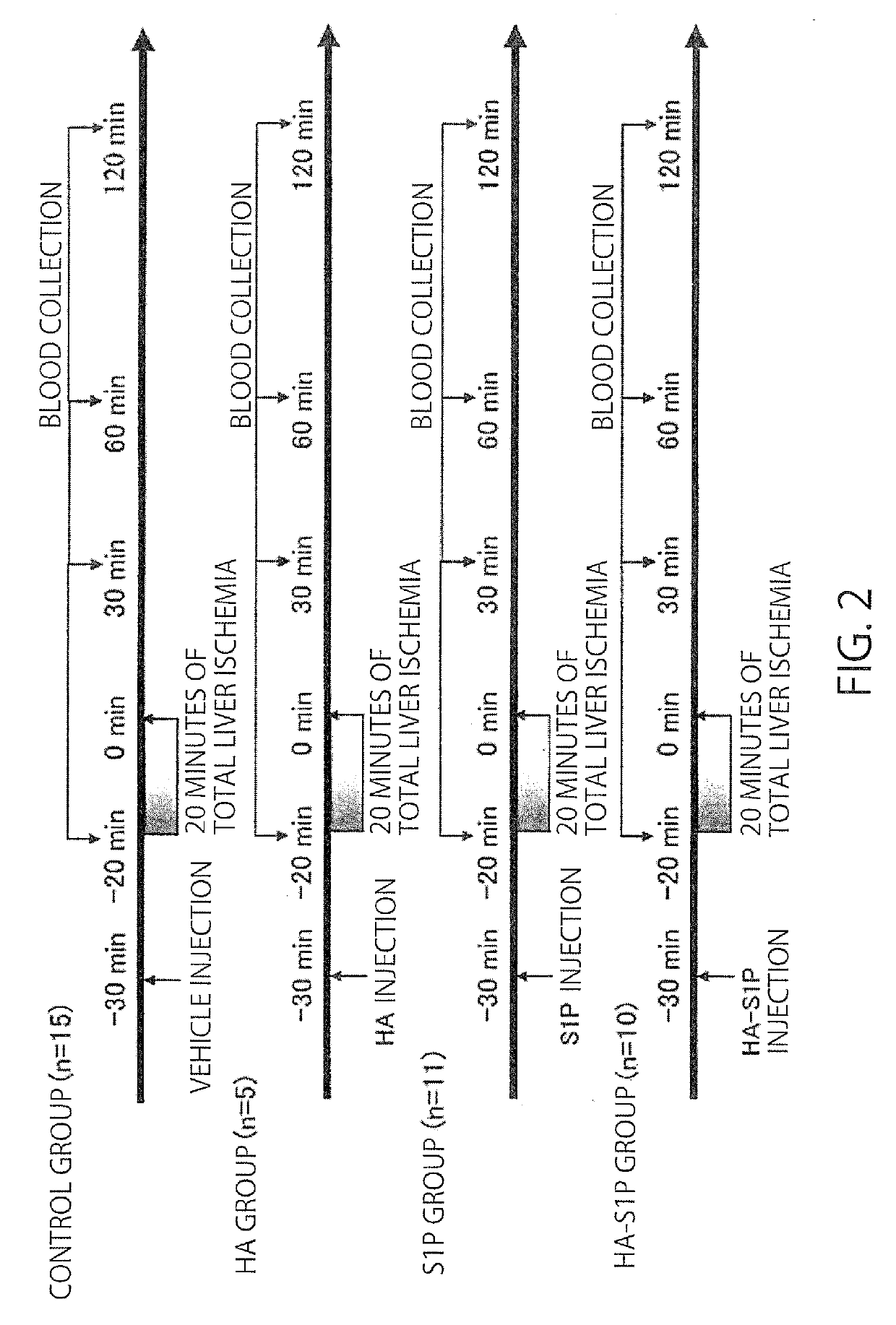 Hyaluronic acid modified by sphingosine-1-phosphoric acid