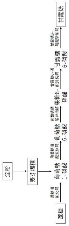 Biological preparation method of mannose