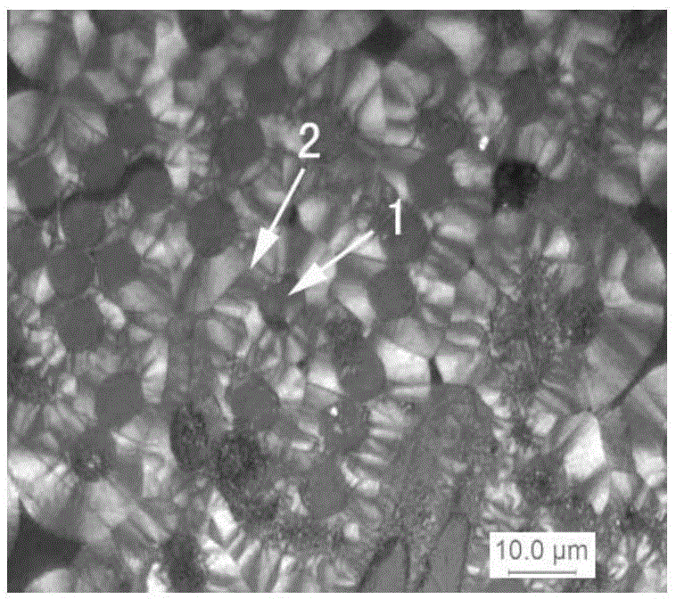 Preparation method of whisker modified carbon/carbon composite material