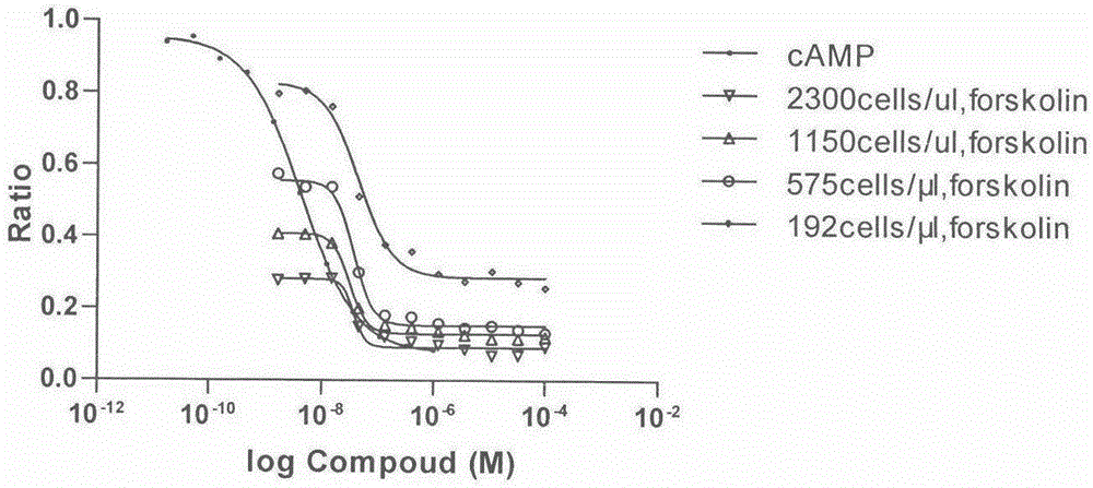 Melanocortin receptor 1 drug screening model based on fluorescence resonance energy transferring technology