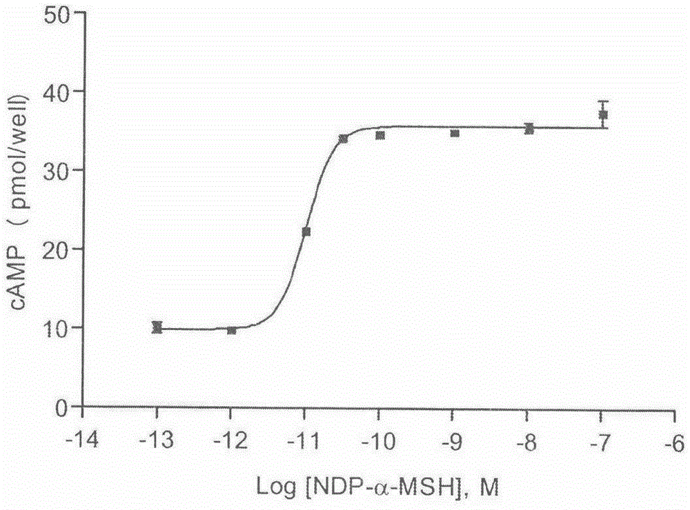 Melanocortin receptor 1 drug screening model based on fluorescence resonance energy transferring technology