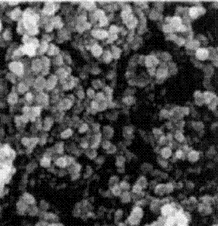 Preparation method of magnetic nano-fe3o4 biocatalysis and its application in the treatment of uranium-containing wastewater