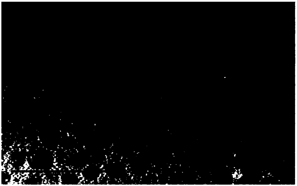 Quantum nanocrystalline complex and preparation method thereof