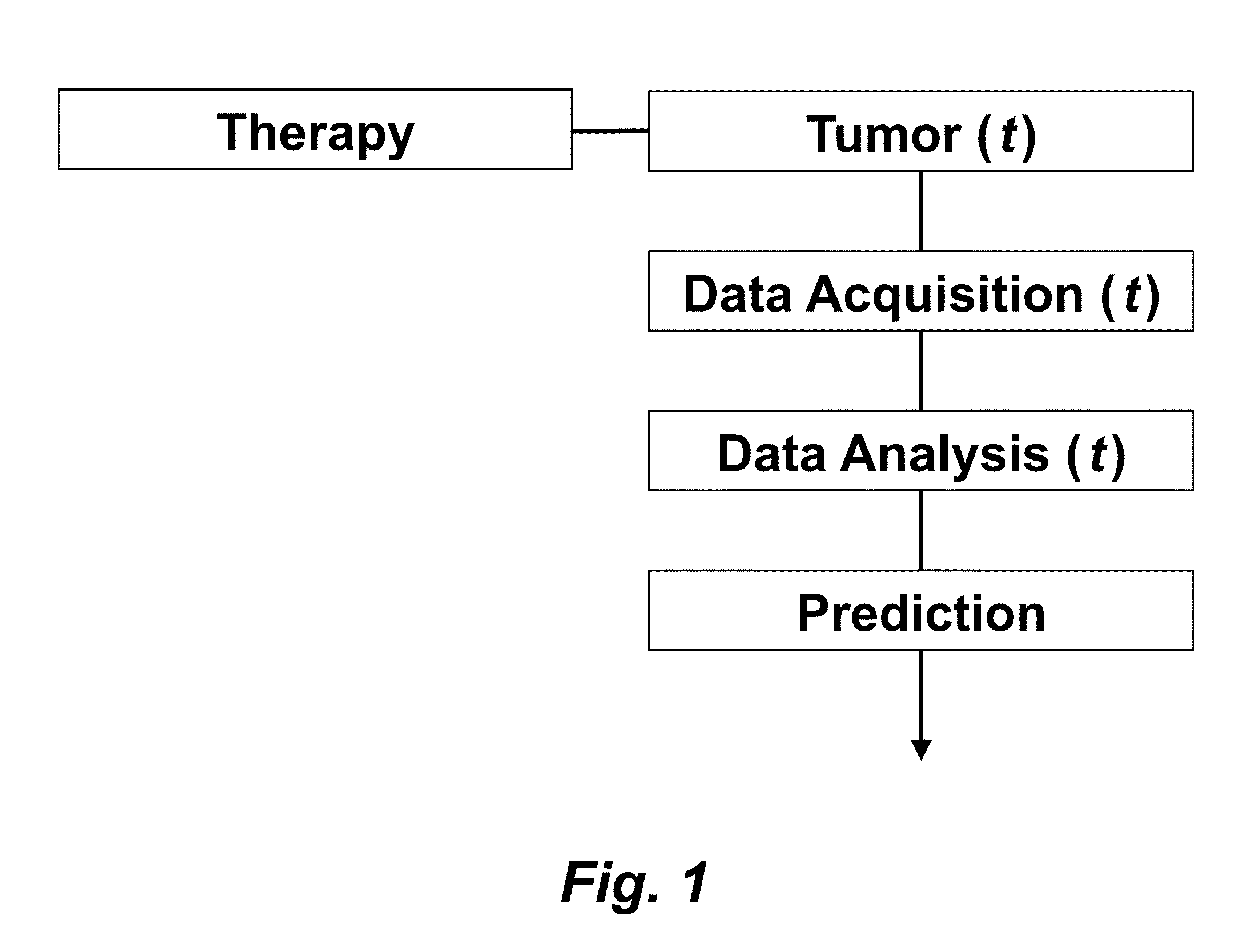 Tumor Response Prediction to Therapy