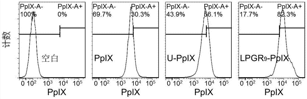 A tumor-targeting polypeptide photosensitizer bond