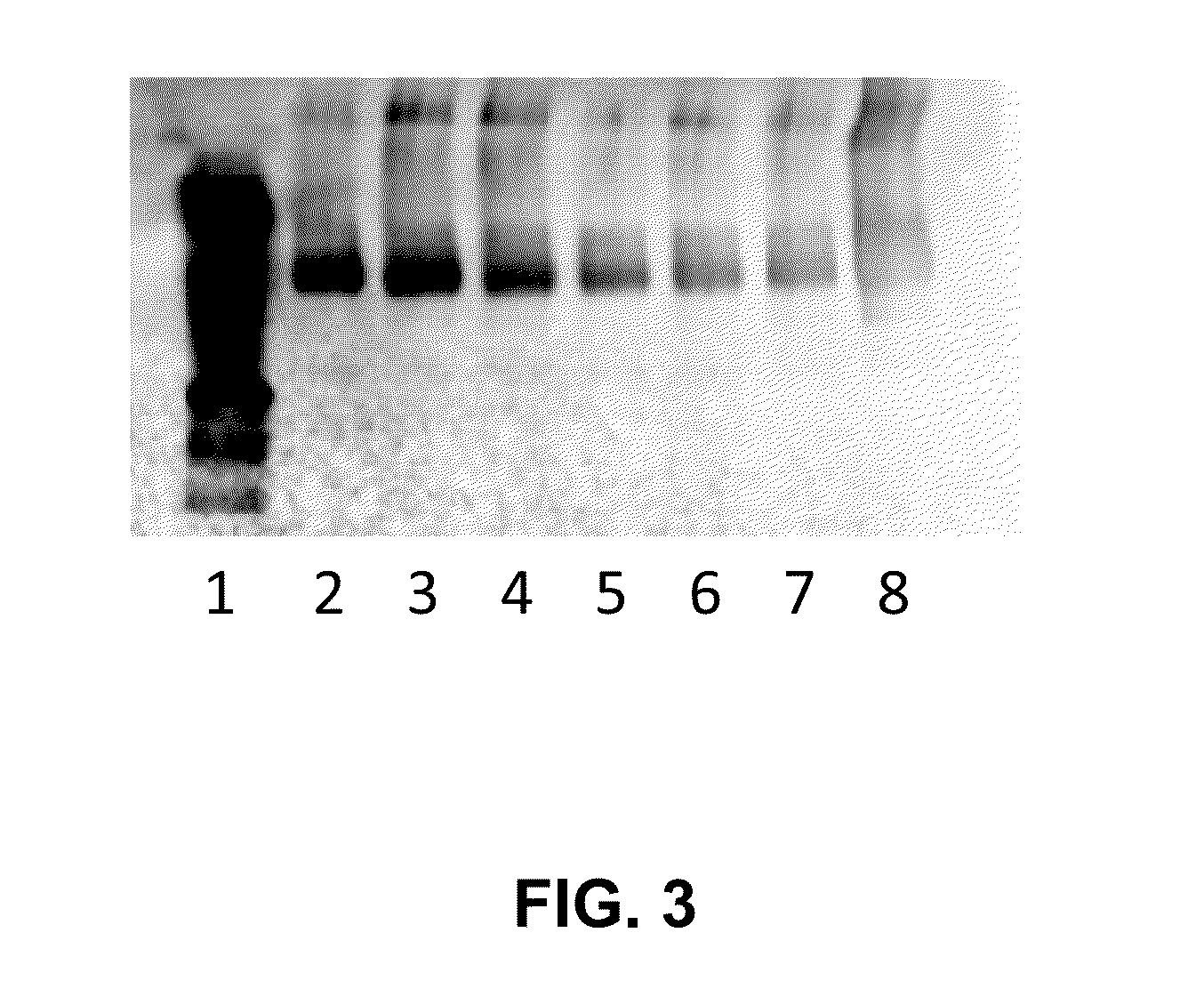 Composition and method for modulating inflammatory molecules with amylase