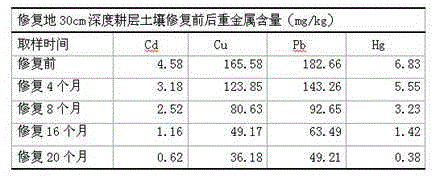 Animal-plant comprehensive utilization and restoration method of heavy-metal polluted soil