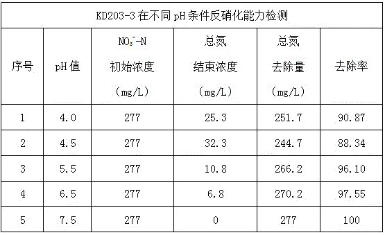 Acid-resistant denitrifying Bacillus subtilis strain, and composite microbial inoculant and preparation method thereof