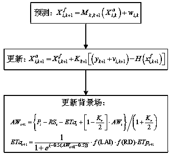 A Method of Evapotranspiration Data Assimilation Based on Distributed Time-varying Gain Hydrological Model