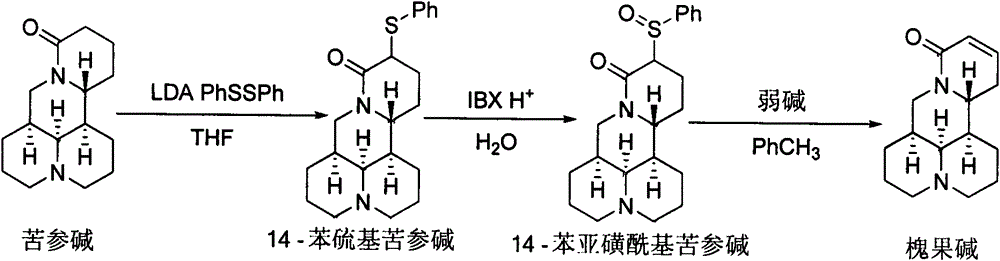 Method for synthesizing sophocarpine